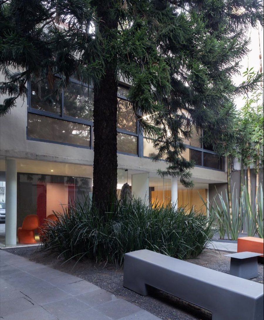 Patio arbolado de las oficinas Zenttre en la Colonia del Valle